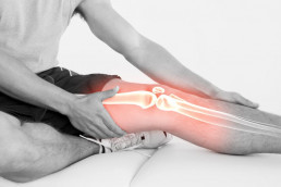 Knieschoner-Knieverletzungen-Meniskus-Knie-Anatomie